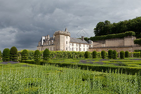 法国卢瓦尔谷花园和城堡紫色场地喷泉树篱疗法香味公园芳香植物花园图片