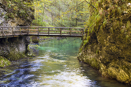 斯洛文尼亚文特加尔峡谷小路树木海浪溪流环境森林旅行树叶旅游公园图片