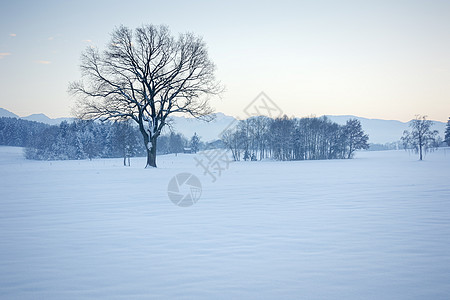 冬季风景环境天空场景寒意小屋季节降雪森林全景木头图片