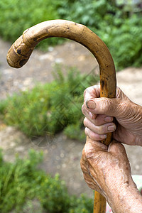 一个老妇人的手 用拐杖女性成年人长者水平甘蔗老年人人士退休女士单身图片