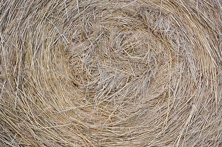 Hay Bale作为背景草堆乡村收成农业草垛材料农场干草稻草图片