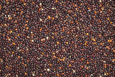 黑quinoa谷物种子食物粮食图片