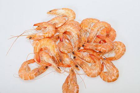 在白色背景上被孤立的新鲜虾红色美食贝类紫色盘子甲壳饮食食物餐厅烹饪图片