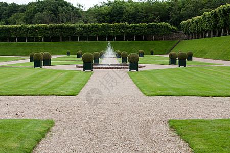 法国城堡的装饰花园 非常美观草本植物公园生长胡同树篱灌木衬套恶棍盒子图片