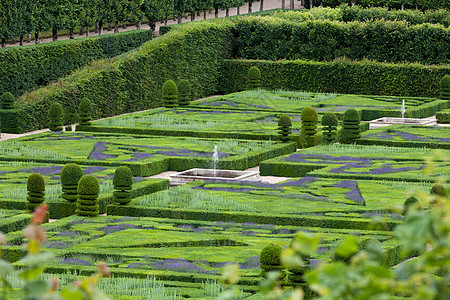 法国卢瓦尔谷花园和城堡树篱盒子恶棍生长公园草本植物薰衣草胡同灌木喷泉图片