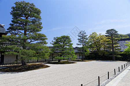 日本花园植物历史性岩石衬套植物园文化小路叶子场景寺庙图片