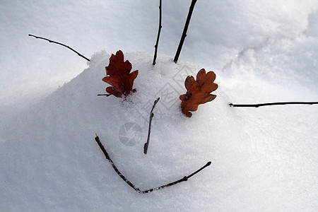 在雪中画一张脸图片