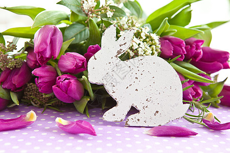 新鲜紫色郁金香水平丝带积分花朵礼物礼品迷迭香圆点分支机构兔子图片