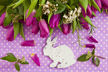 新鲜紫色郁金香兔子积分丝带水平花朵分支机构生日圆点迷迭香礼物图片