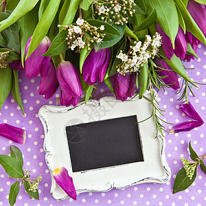 新鲜紫色郁金香礼物生日丝带礼品黑板分支机构花朵圆点迷迭香积分图片
