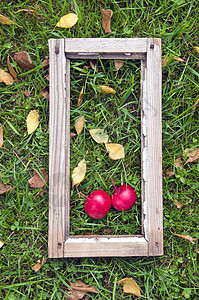 两个红苹果 在古老的窗框 花园草丛上图片