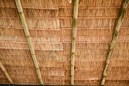茅草屋顶热带屋顶工植物木头住民田园风光房子小屋稻草图片