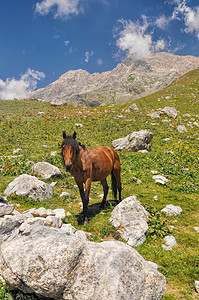 吉尔吉斯斯坦丘陵远足风景旅行山峰山脉图片