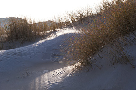 安姆山的沙丘飞沙沙子沙滩世界设计海事领域图片