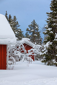 芬兰红木屋森林风景村庄桦木天空窗户建筑学孤独农村房子图片