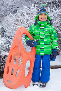 小男孩在冬季公园玩雪橇的乐趣衣服快乐季节男生孩子童年兄弟雪花喜悦森林图片