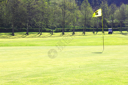 高尔夫球旗在航道上闲暇球道游戏绿色草地公园场地课程森林旗帜图片