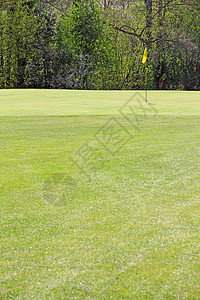 高尔夫球场的旗帜运动植物土地草地草皮球道树木地面森林俱乐部图片