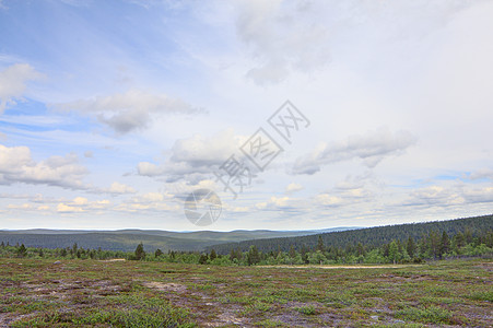 Tundra 景观天空地形石头风景人行道森林高地地平线树木地面图片