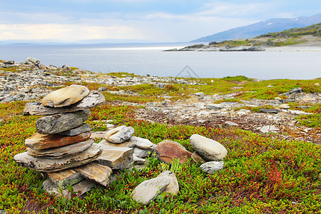 挪威北部地貌景观苔原反射草地旅行蓝色岩石支撑农村海岸苔藓图片
