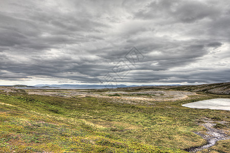 挪威北部地貌景观海滩旅行地平线海岸峡湾草地苔原农村天空场景图片