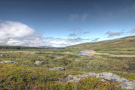 Tundra 景观苔原苔藓爬坡风景全景天空晴天国家地形高地图片