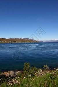 挪威的Fjord苔藓苔原环境天空蓝色岩石森林场景风景悬崖图片