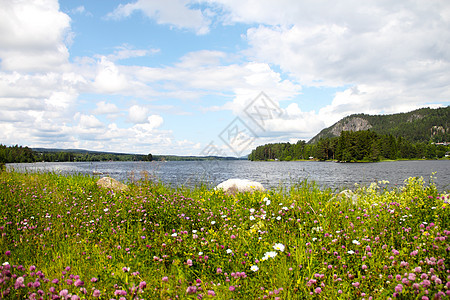花朵 anf fjord蓝色阳光海岸旅游国家旅行岩石天空场景假期图片