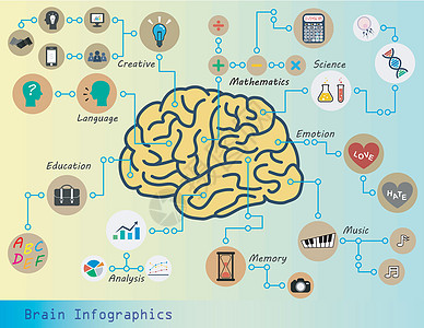 脑图功能信息数据卫生图表插图教育互联网商业网络图片