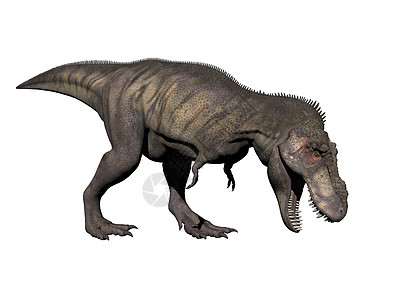 恐龙巨龙  3D爬虫捕食者侏罗纪插图野生动物白色食肉怪物绿色古生物学图片