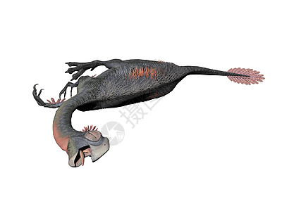 恐龙  3d古生物学灭绝捕食者插图白色食草动物爬虫图片