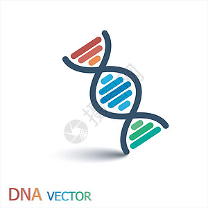 (脱氧核糖核酸)符号(双股DNA)图片