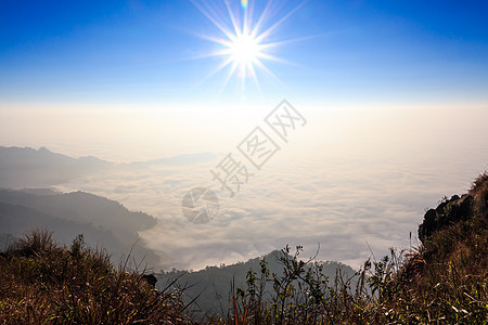 雾之海阳光蓝色森林太阳天气薄雾天空热带植物旅游图片