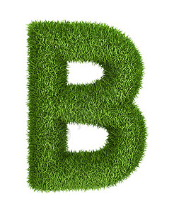 天然草根B字母生态案件植物绿色植物生长环境行星字体插图图片