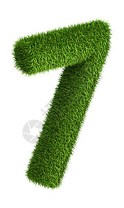7号自然天然草暗号花园生态植物插图绿色植物投影数字绿色草地背景图片