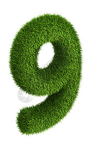 自然天然草草 第9号字母绿色绿色植物草地花园环境植物健康暗号等距背景图片