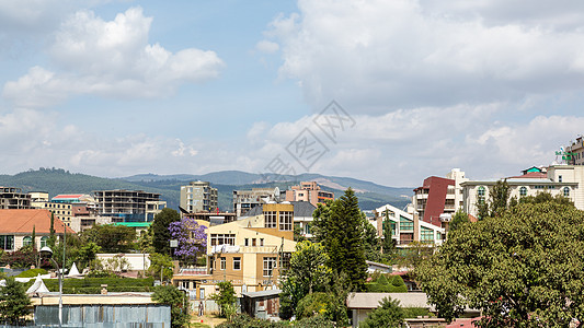 亚的斯亚贝巴博莱地区首都街道房屋建筑文明建筑学景观树干城市图片