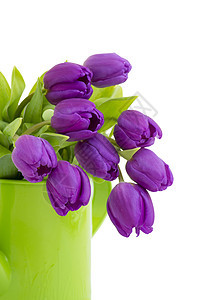 一堆紫罗兰郁金香叶子礼物白色脆弱性花束花瓣季节性植物群紫色绿色图片