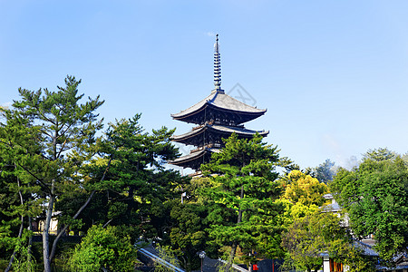 纳拉兰德马克树木地标宝塔景点宗教历史性旅行地方目的地佛教徒图片