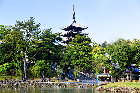 纳拉兰德马克佛教徒景点宝塔旅行宗教旅游历史季节树木寺庙图片