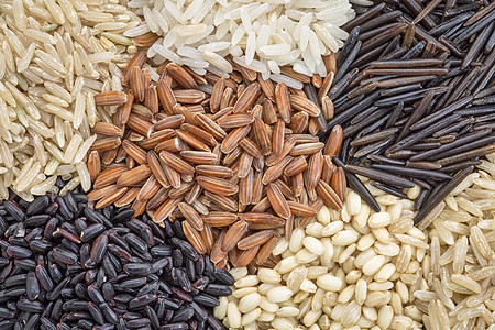 稻谷抽象紫米野米白色粮食谷物黑米棕色背景图片