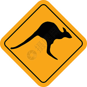 袋鼠标志小袋星星动物旗帜艺术小袋鼠艺术品跳高绘画哺乳动物图片