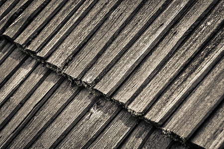 一个旧木屋顶的细细细节图片
