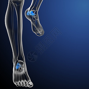 3d 进行医学演示 以说明钙跟骨骨骼骨科医疗药品跗骨手指创伤图片