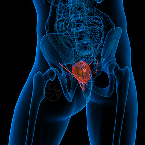 膀解剖学药品x光背景图片