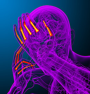 3d 表示人体长颈手的插图手臂手腕方阵手指肌腱风湿病指骨骨骼背景图片
