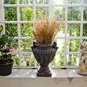 花和干鲜花装饰设计对象花瓶边框房子背景白色花朵图片