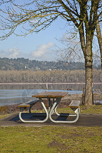 奥雷根公园旁的长椅平台土地岛屿场景水泥树木图片