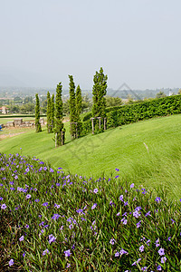 山上美丽的花朵和树园小路作物园艺旅游旅行花语绿色植物花园灌木游客图片