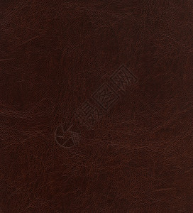 棕色皮革质量皮肤空白奢华装潢衣服墙纸奶牛材料图片
